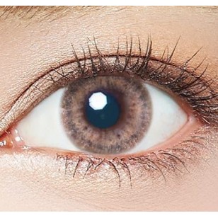 (EL1003)EverColor 1day LUQUAGE FoggyChocolat 10片裝